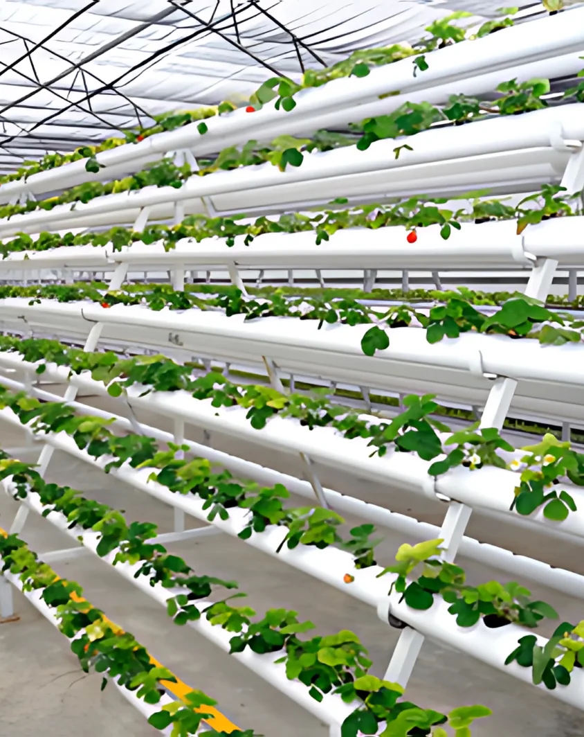 Future Farming